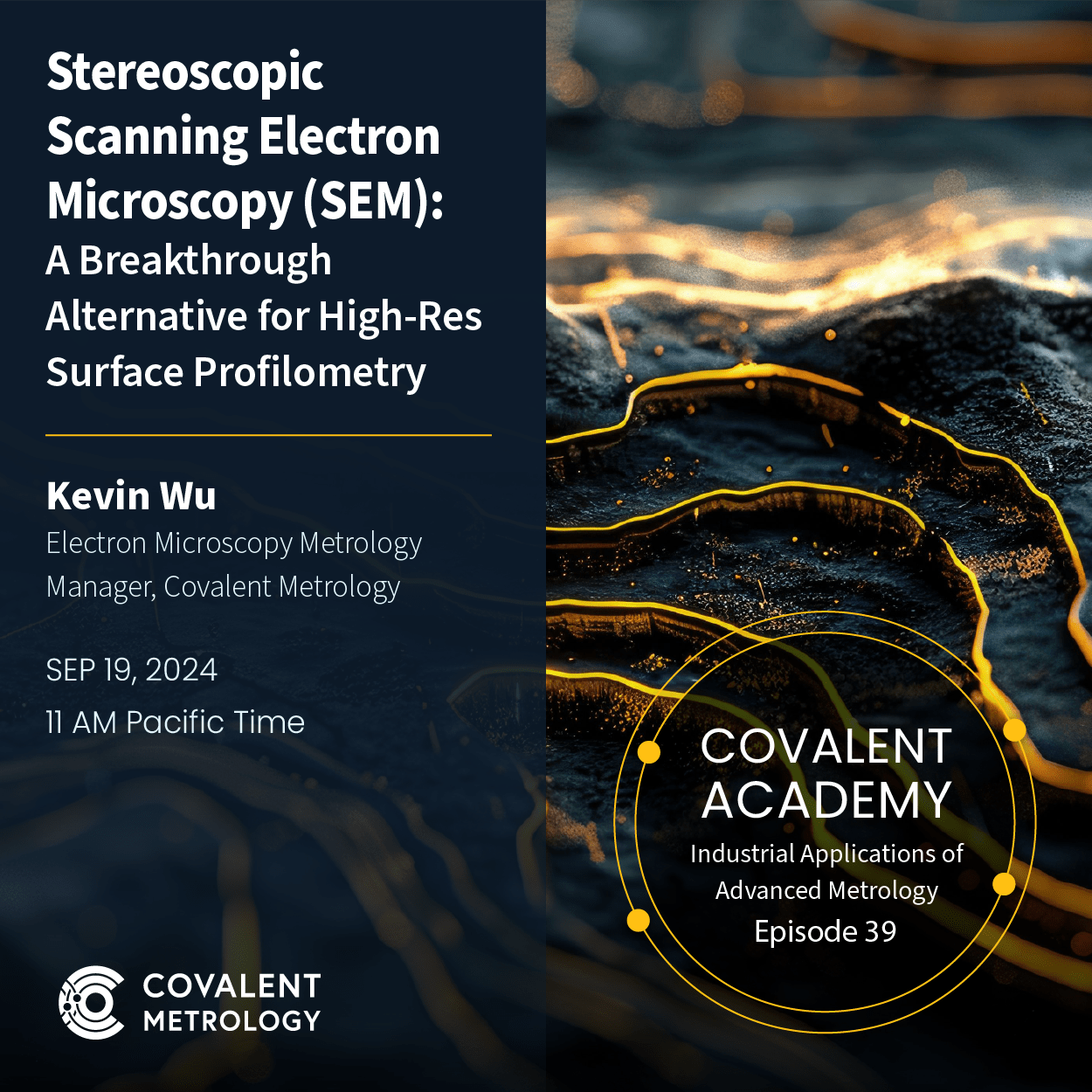 Stereoscopic Scanning Electron Microscopy (SSEM): A Breakthrough Alternative for High-Res Surface Profilometry 